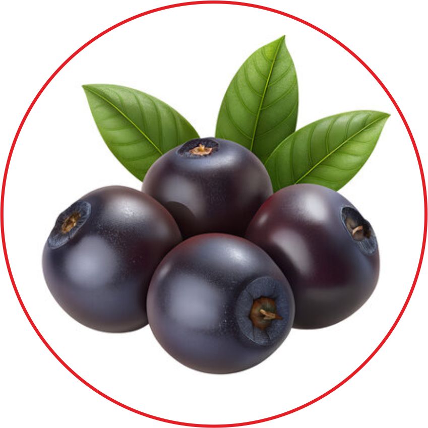 Acai Berries Image