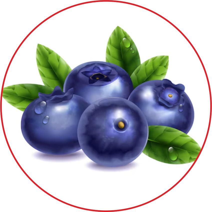 Acai Berries Image